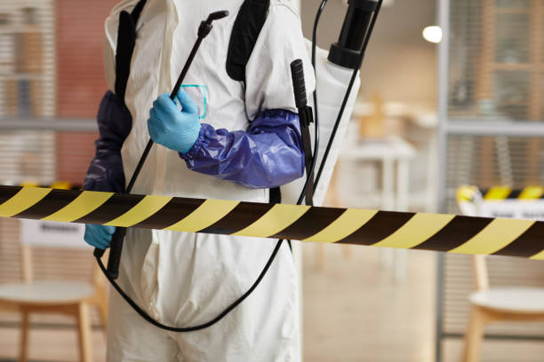 Professional Biohazard technician working in Pine River, WI